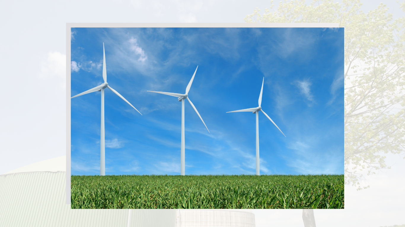 Embracing Wind Energy